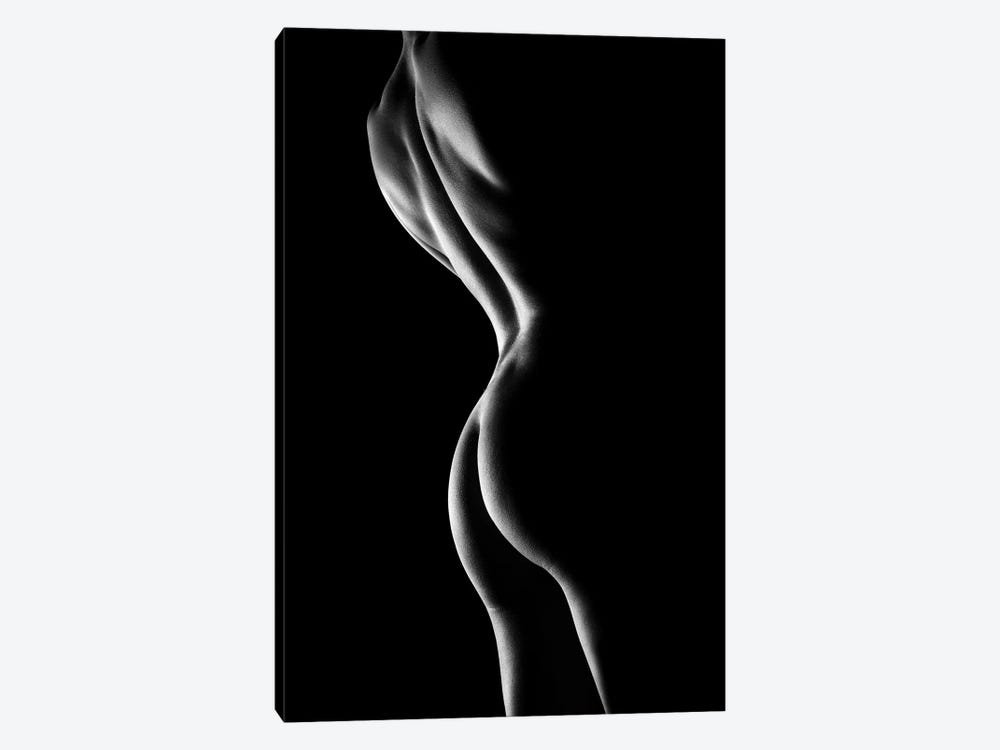 Nude Woman Bodyscape VI by Johan Swanepoel 1-piece Canvas Artwork