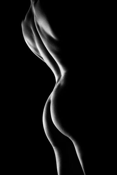 Silhouettes: Nude Woman Bodyscape VI by Johan Swanepoel