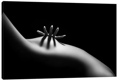 Nude Woman Bodyscape XI Canvas Art Print - In the Shadows