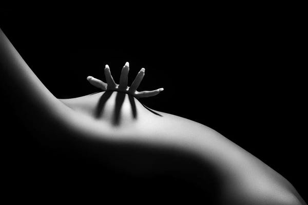In The Shadows: Nude Woman Bodyscape XI by Johan Swanepoel