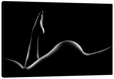 Nude Woman Bodyscape XIV Canvas Art Print - Black & White Art
