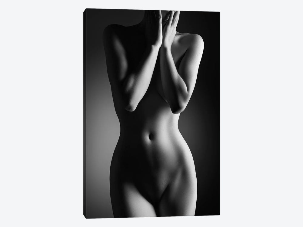 Nude Woman Bodyscape XXIV by Johan Swanepoel 1-piece Canvas Art Print