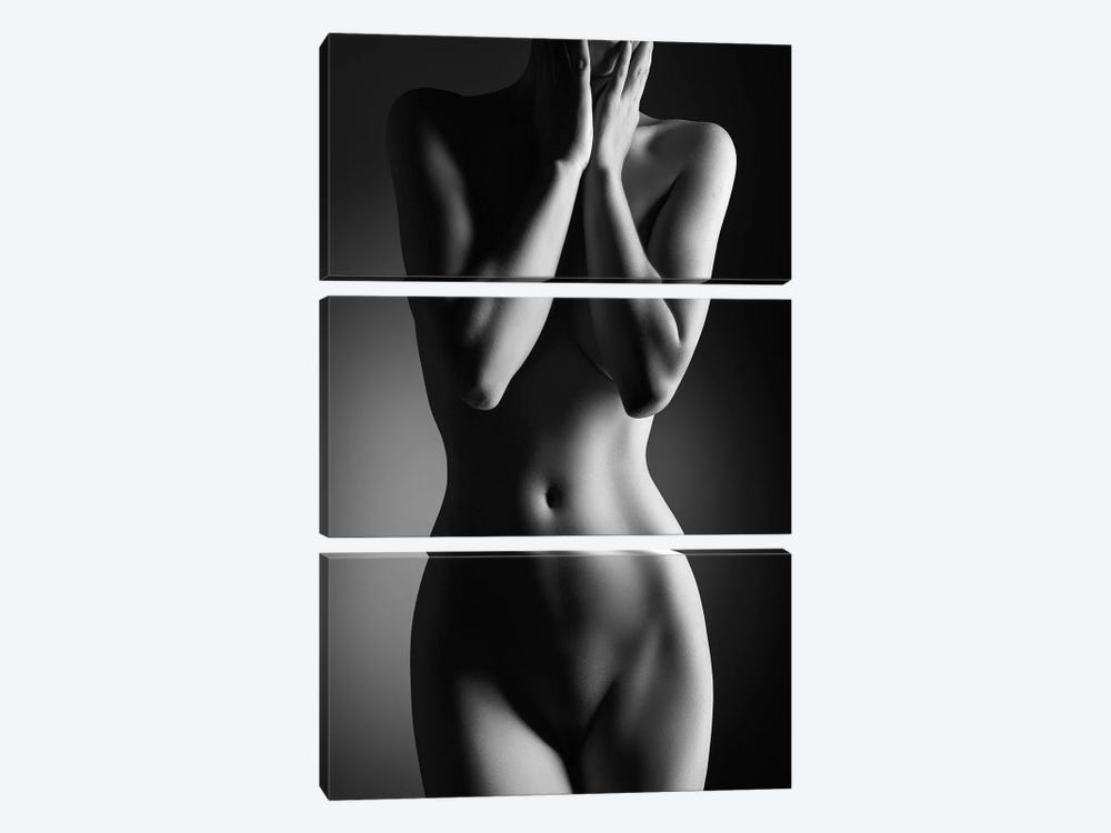 Nude Woman Bodyscape XXIV by Johan Swanepoel 3-piece Canvas Print