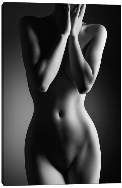 Nude Woman Bodyscape XXIV Canvas Art Print - Johan Swanepoel