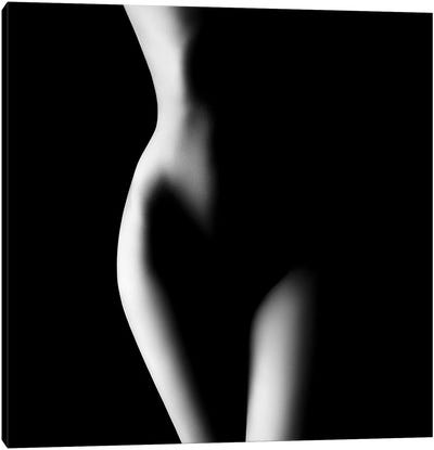 Nude Woman Bodyscape XXIII Canvas Art Print - In the Shadows