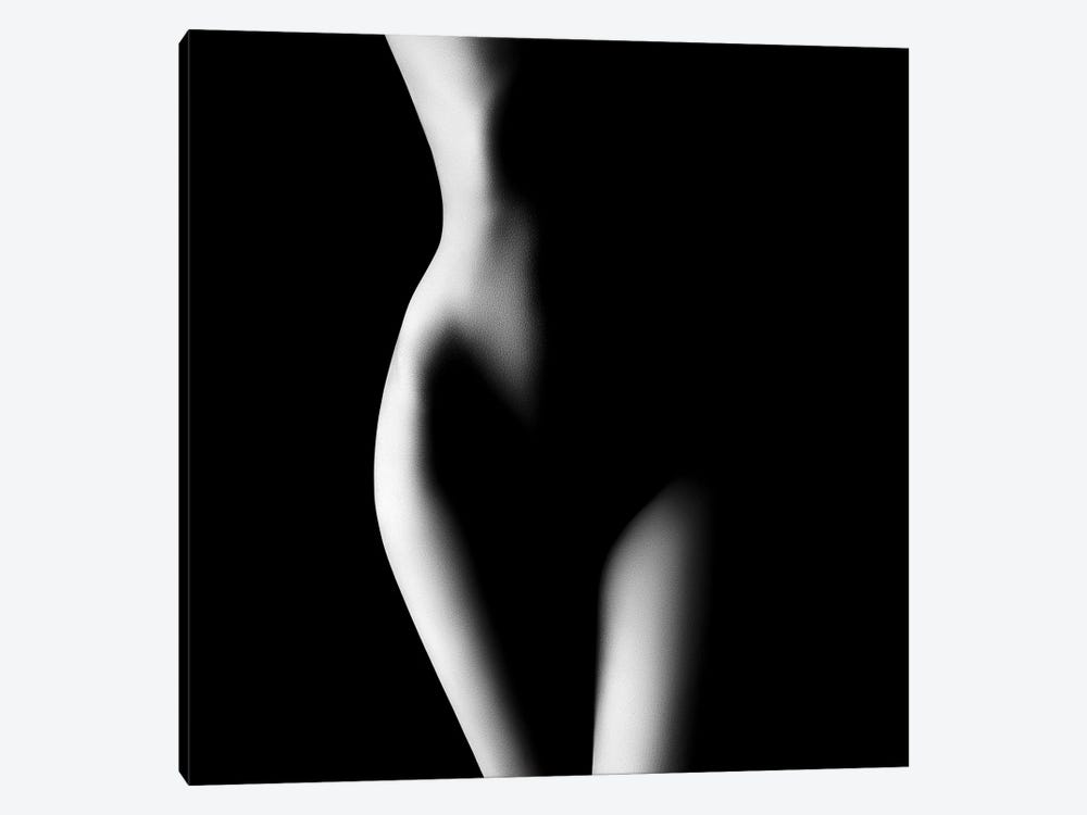 Nude Woman Bodyscape XXIII by Johan Swanepoel 1-piece Canvas Artwork