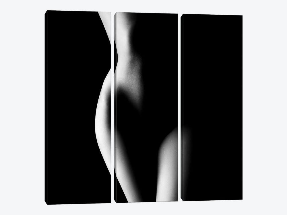 Nude Woman Bodyscape XXIII by Johan Swanepoel 3-piece Canvas Art