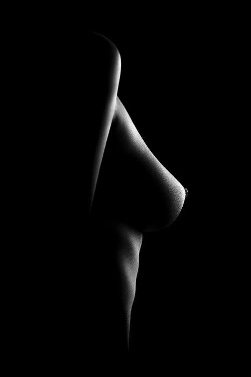 Nude Woman Bodyscape XXI