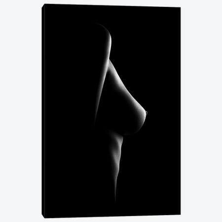 Nude Woman Bodyscape XXI Canvas Print #JSW73} by Johan Swanepoel Canvas Art Print