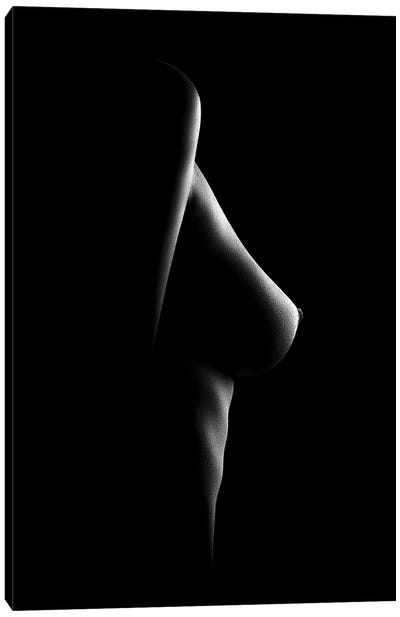 Nude Woman Bodyscape XXI Canvas Art Print - Johan Swanepoel