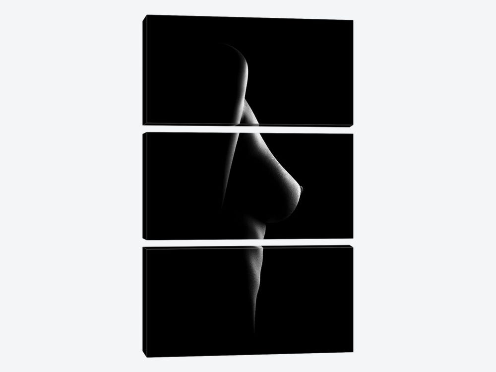 Nude Woman Bodyscape XXI by Johan Swanepoel 3-piece Canvas Art Print
