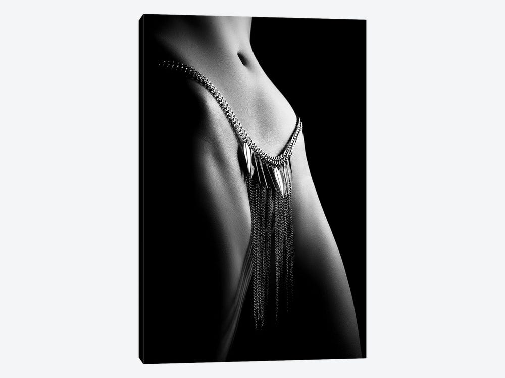 Woman Close-Up Chain Panty by Johan Swanepoel 1-piece Canvas Art