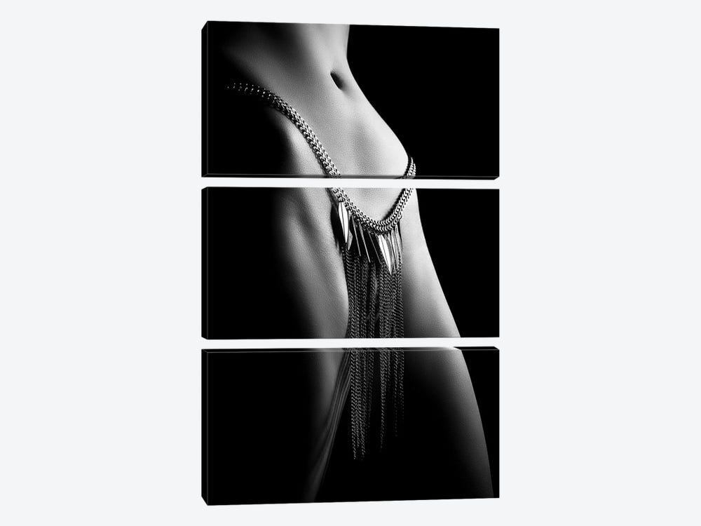 Woman Close-Up Chain Panty by Johan Swanepoel 3-piece Canvas Art