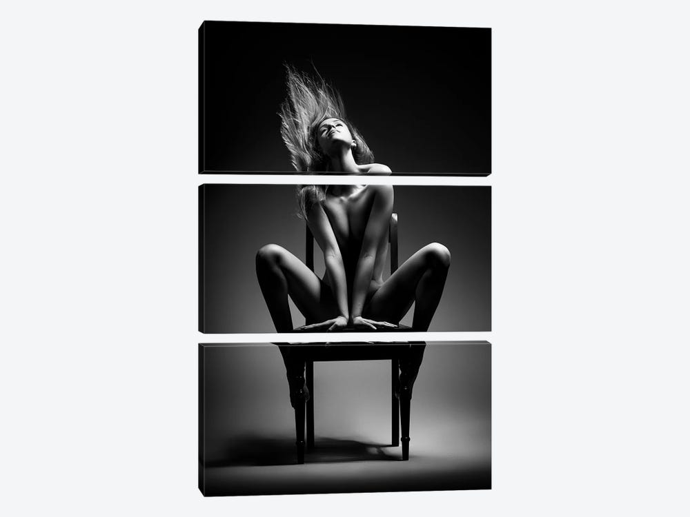 Nude Woman On Chair I by Johan Swanepoel 3-piece Canvas Art