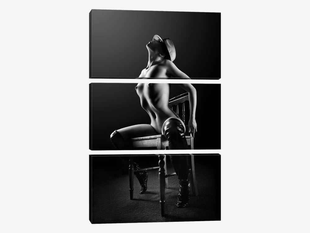 Nude Woman On Chair II by Johan Swanepoel 3-piece Canvas Art Print