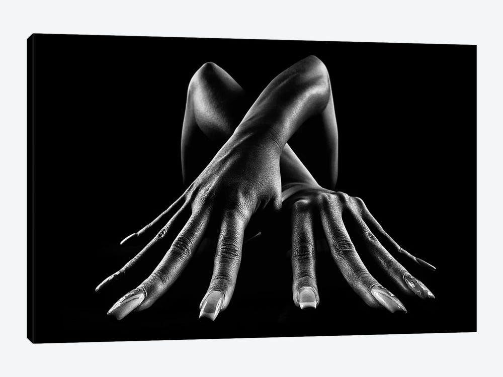 Figurative Body Parts by Johan Swanepoel 1-piece Art Print