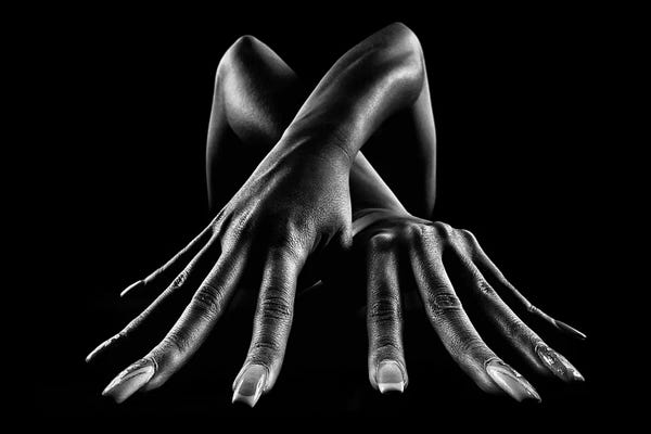 Hands: Figurative Body Parts by Johan Swanepoel