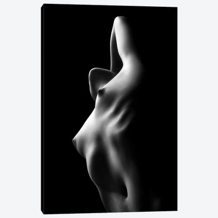 Nude Woman Bodyscape XXXIII Canvas Print #JSW81} by Johan Swanepoel Canvas Art