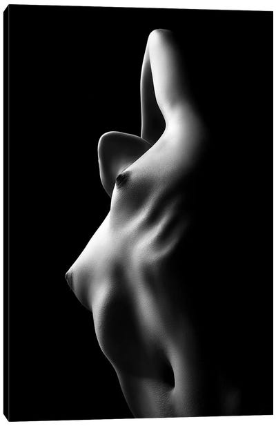 Nude Woman Bodyscape XXXIII Canvas Art Print - Johan Swanepoel