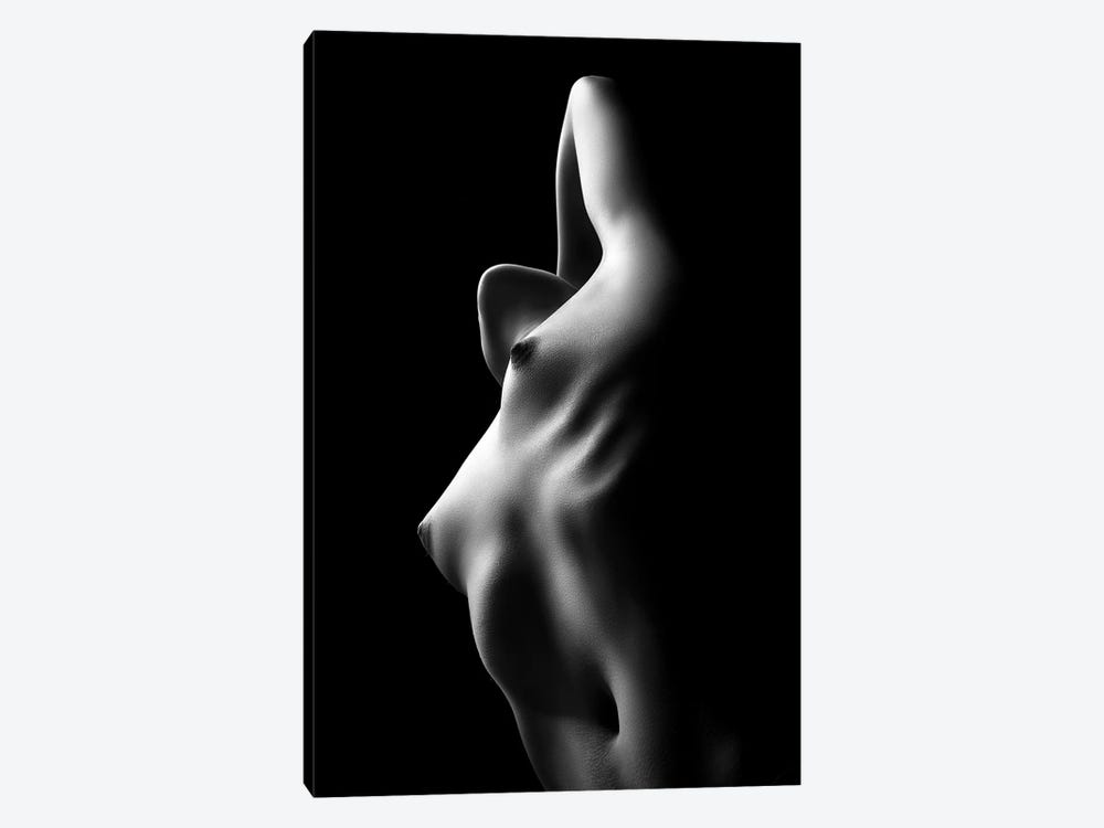 Nude Woman Bodyscape XXXIII by Johan Swanepoel 1-piece Canvas Wall Art