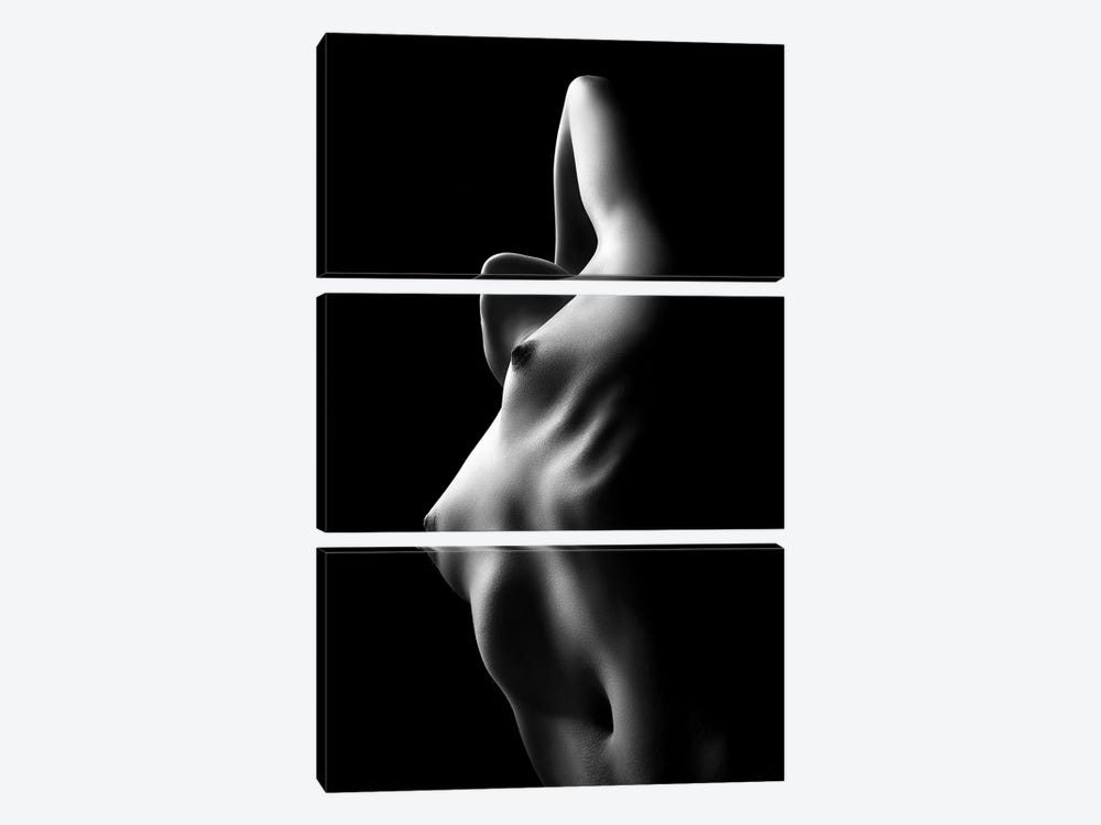 Nude Woman Bodyscape XXXIII by Johan Swanepoel 3-piece Canvas Artwork
