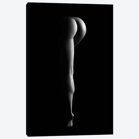 Nude Woman Bodyscape XXXVIII Canvas Print #JSW83} by Johan Swanepoel Canvas Art