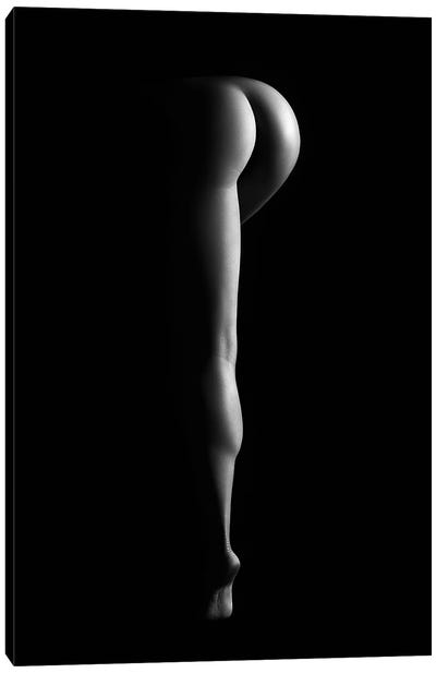 Nude Woman Bodyscape XXXVIII Canvas Art Print - Johan Swanepoel