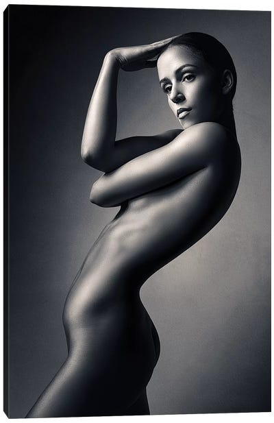 Nude Woman Bodyscape XXXIX Canvas Art Print - Johan Swanepoel