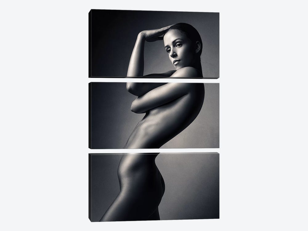 Nude Woman Bodyscape XXXIX by Johan Swanepoel 3-piece Canvas Art Print