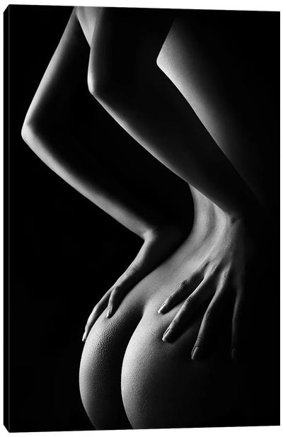 Nude Woman Bodyscape XXIX-B Canvas Art Print - Erotic Art