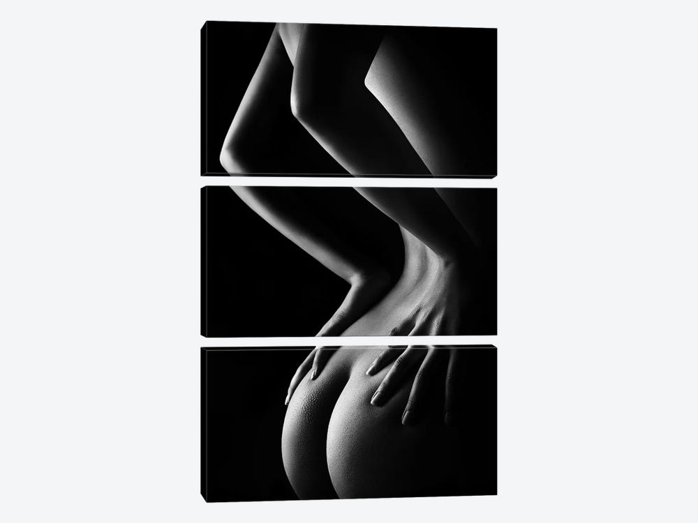 Nude Woman Bodyscape XXIX-B by Johan Swanepoel 3-piece Canvas Art Print