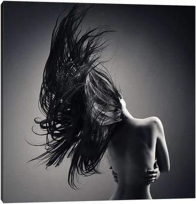 Sensual Woman Long Waving Hair Canvas Art Print - Fine Art Photography