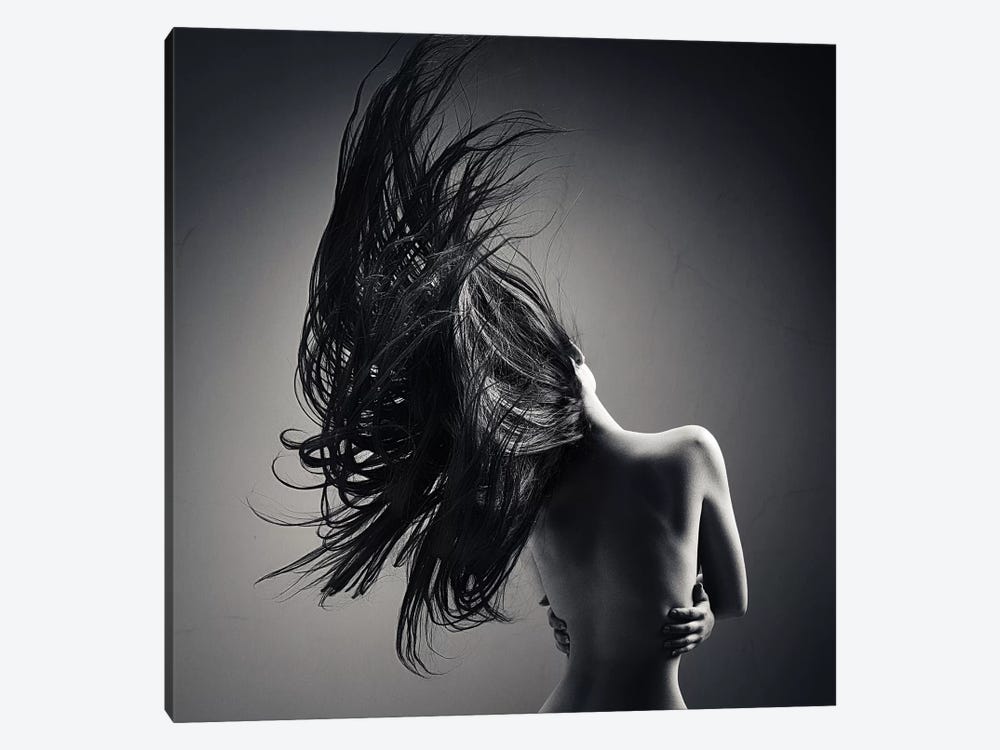 Sensual Woman Long Waving Hair by Johan Swanepoel 1-piece Canvas Artwork
