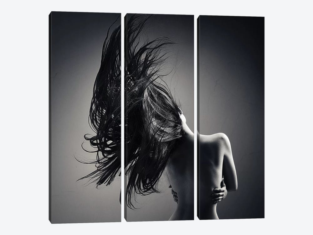 Sensual Woman Long Waving Hair by Johan Swanepoel 3-piece Canvas Wall Art