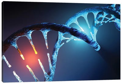 DNA Strand Canvas Art Print - Science Art