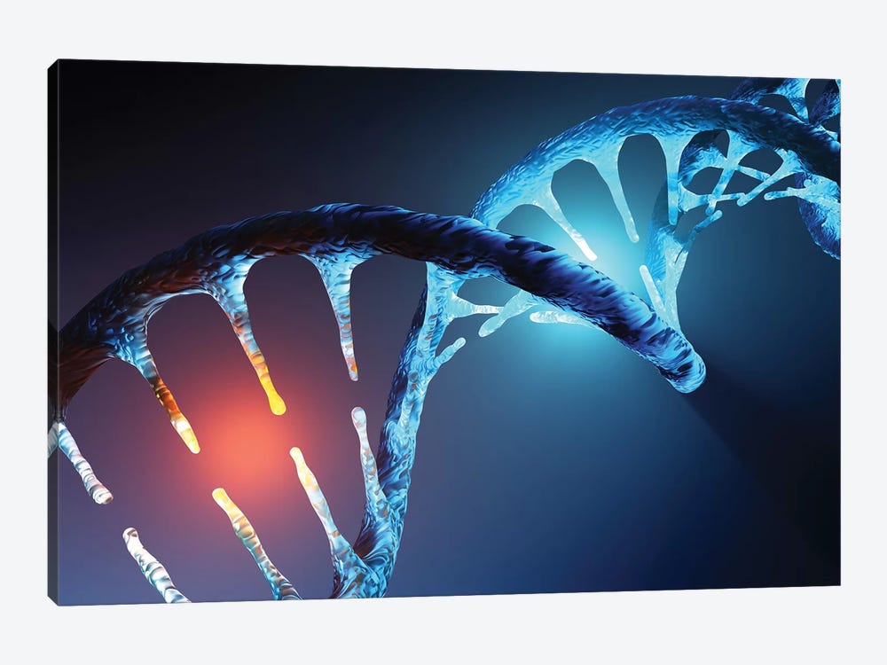 DNA Strand by Johan Swanepoel 1-piece Canvas Artwork