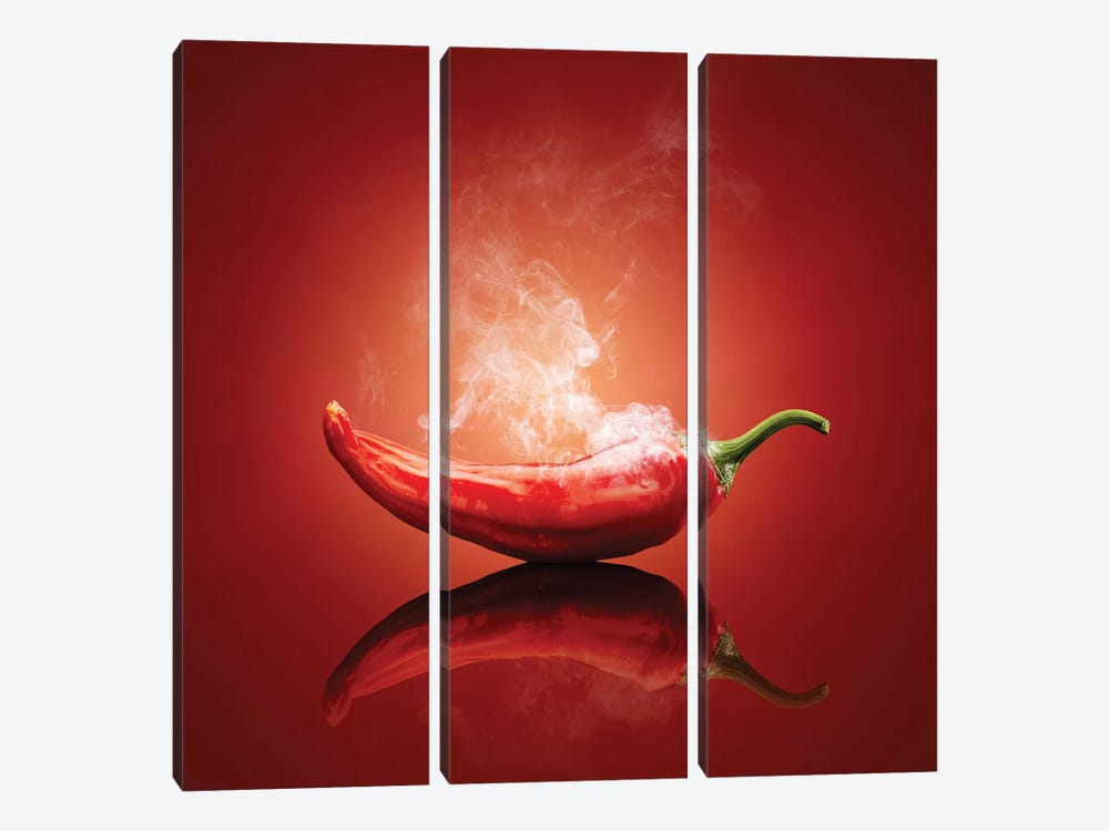 Chili Red Steaming Hot by Johan Swanepoel 3-piece Canvas Art