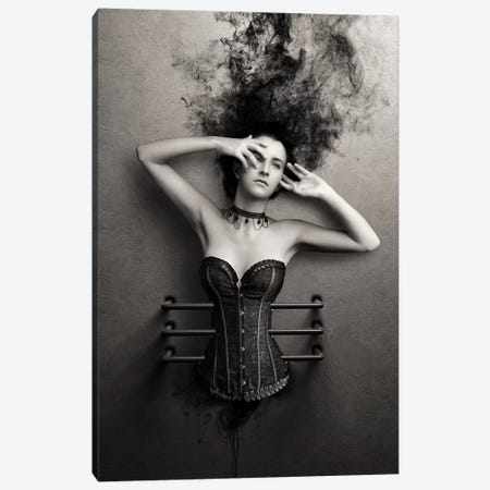 Trapped Canvas Print #JSW94} by Johan Swanepoel Canvas Wall Art