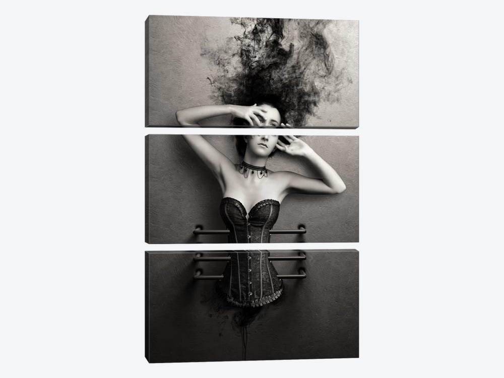 Trapped by Johan Swanepoel 3-piece Canvas Wall Art