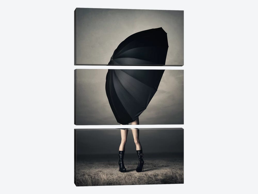 Woman With Huge Umbrella by Johan Swanepoel 3-piece Canvas Print