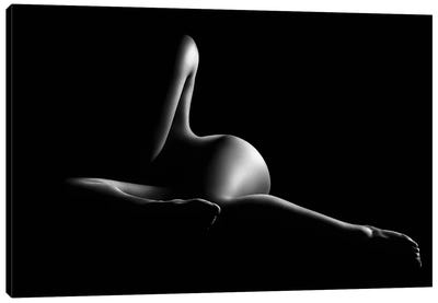 Nude woman bodyscape XL Canvas Art Print - Black & White Art