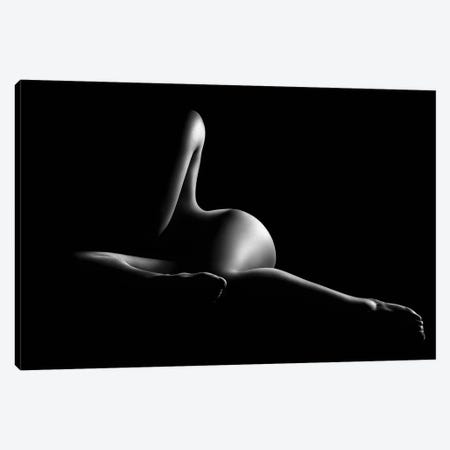 Nude woman bodyscape XL Canvas Print #JSW99} by Johan Swanepoel Art Print