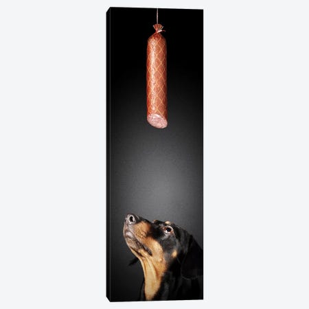 Dachshund Looking Up At Salami Canvas Print #JSW9} by Johan Swanepoel Canvas Artwork