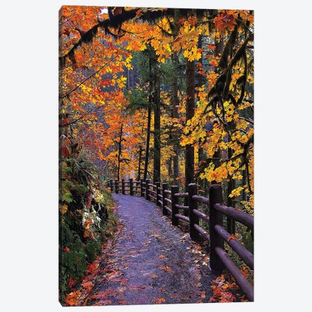 An Autumn Stroll - Trail Of Ten Falls, Oregon Canvas Print #JTB11} by Jitabebe Canvas Print
