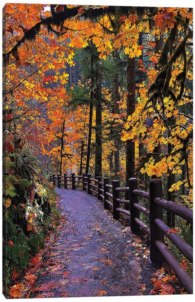 An Autumn Stroll - Trail Of Ten Falls, Oregon Canvas Art Print - Jitabebe