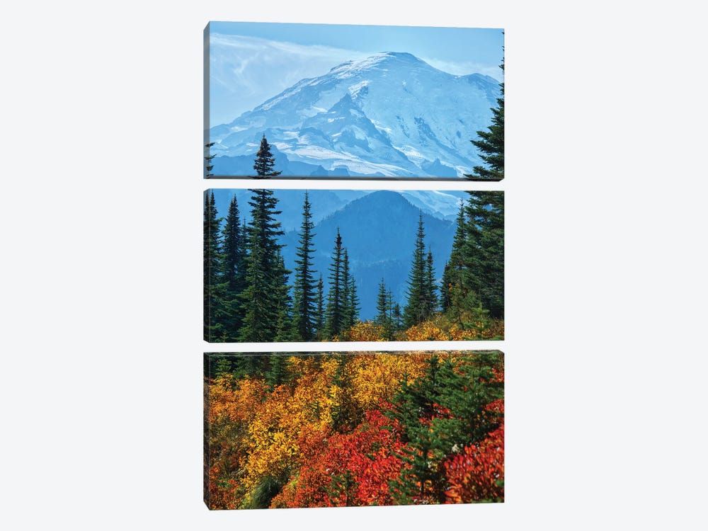 Mount Rainier In The Fall 3-piece Art Print