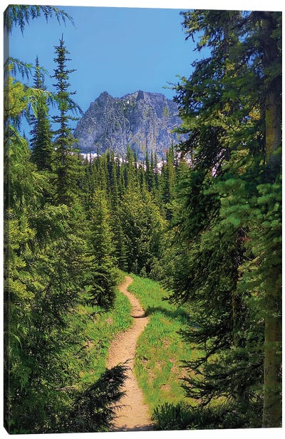 Follow The Right Path - Mount Rainier NP Canvas Art Print - Mount Rainier
