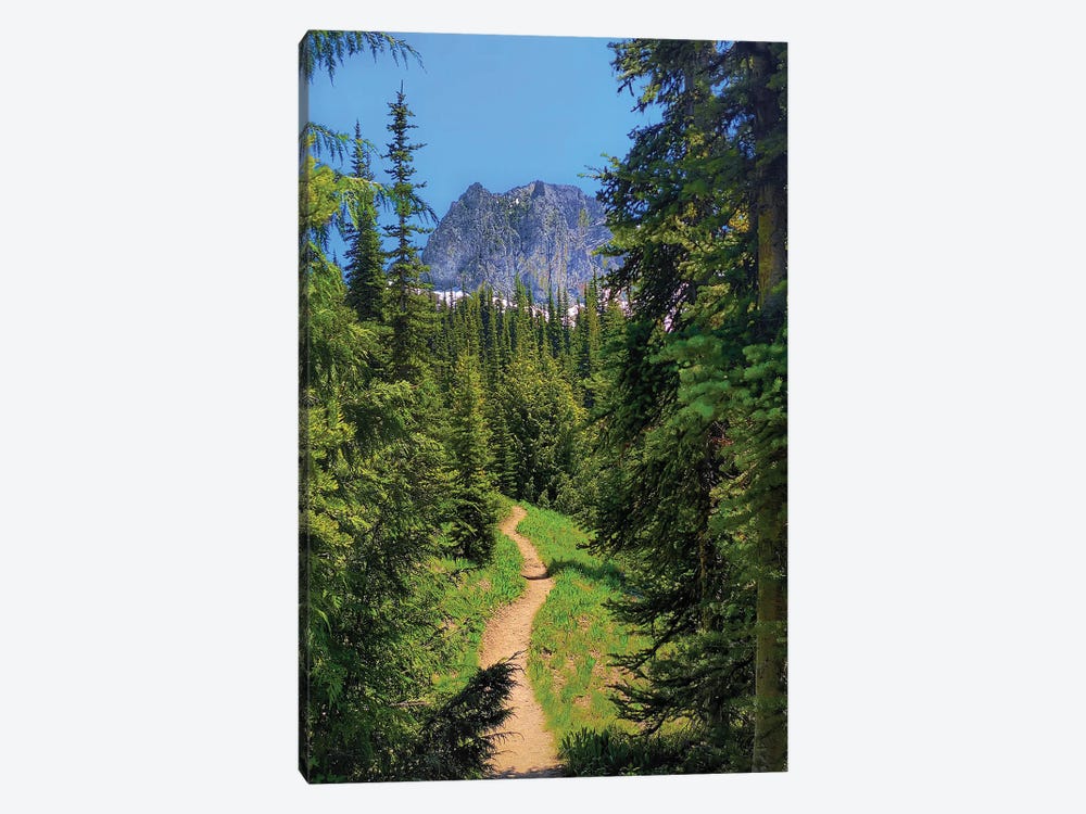 Follow The Right Path - Mount Rainier NP by Jitabebe 1-piece Canvas Art