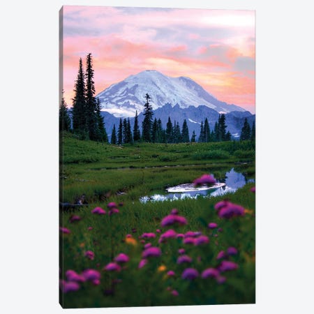 You Are Beautiful - Mount Rainier National Park Canvas Print #JTB30} by Jitabebe Canvas Art Print