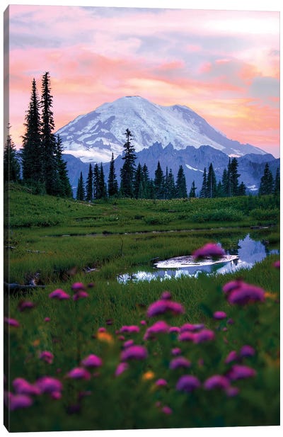 You Are Beautiful - Mount Rainier National Park Canvas Art Print - Jitabebe
